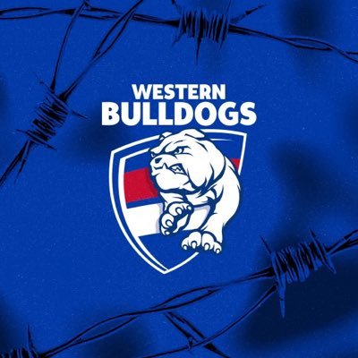 westernbulldogs's profile picture