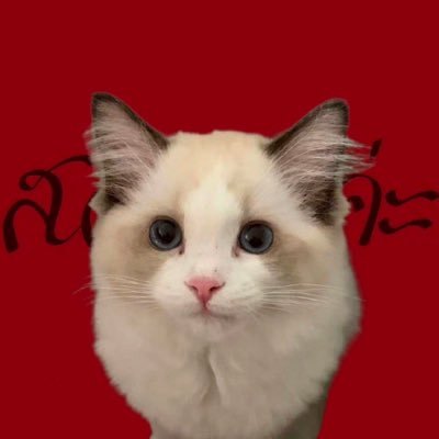 Lisa红红火火💅🏻💅🏻💅🏻's profile picture