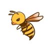 Фото профиля wasp