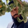 روښان. مستغني's profile picture