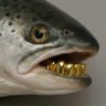 PiZLe_ (Puddle Shark)'s profile picture