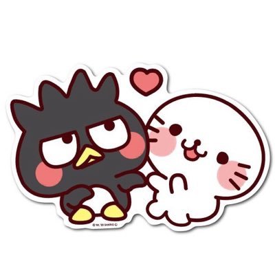 snj_chky's profile picture