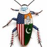 AAP SUPPORTER's profile picture