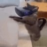 Zephes's profile picture