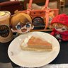 Profilbild von マユコ