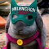 Mimijedi compte de secours 🐇🐰🐇🐢🌍 profil fotoğrafı