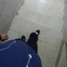 الاديب ✨️🤍 的头像