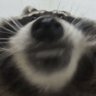Profilbild von DOT_MAN