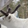 Profilbild von deone