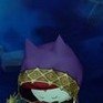 Profilbild von ぽ