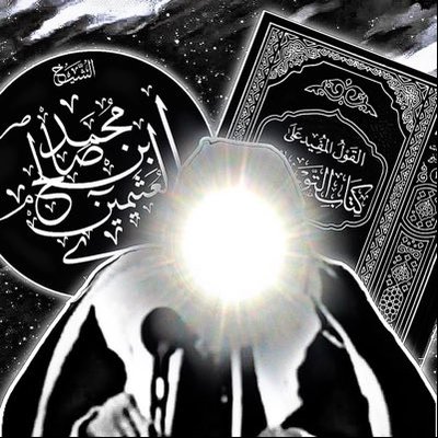 محمد زيد's profile picture