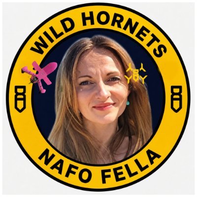 KomsaAnnaNAFO's profile picture