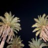 ابراهيم 的头像