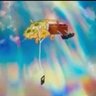 wololo's profile picture