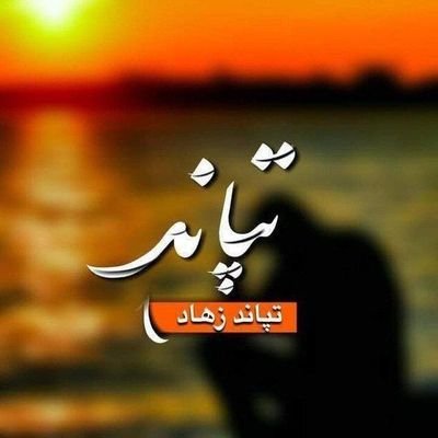 tapandzohad's profile picture