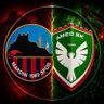 miro's profile picture