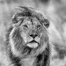 Profilbild von Ashok