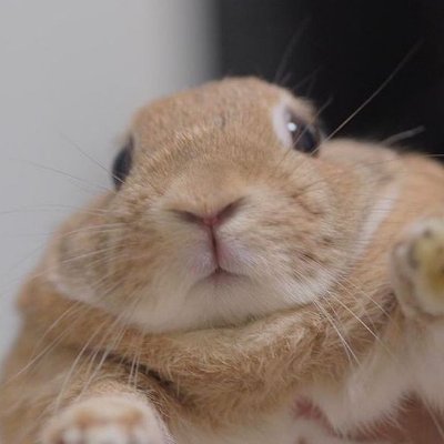 EMPIRE {semi hiatus}'s profile picture