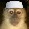 Leo's profile picture