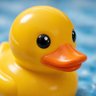 Daily Rubber Duck 🦆 profil fotoğrafı