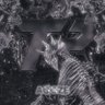 TeK aqgze profil fotoğrafı