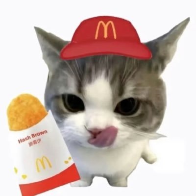 nchnhng148784's profile picture