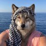 VUK07's profile picture