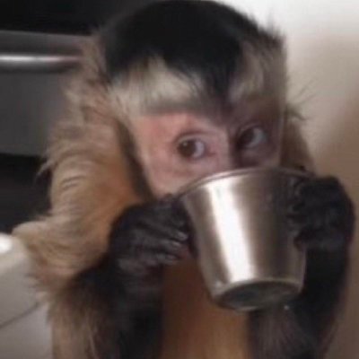 tavynhomcz's profile picture