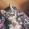 bbie profil fotoğrafı