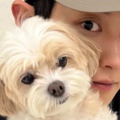 _AeyCYeol's profile picture