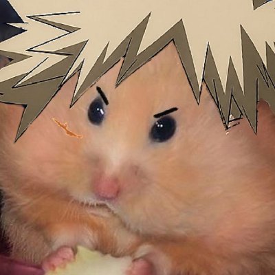 ser |・д・)ノ🧨's profile picture