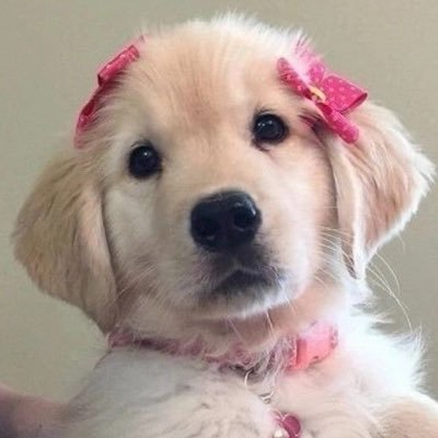 isknnu's profile picture
