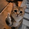 Katlego KAT 的头像