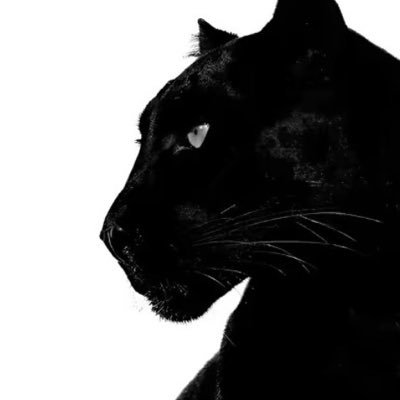 mambamerciful's profile picture