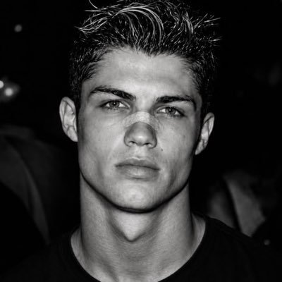 𝕊𝕥𝕒𝕣𝕜's profile picture