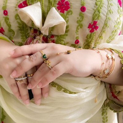 Bushra Rani's profile picture