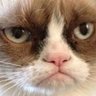 joe's profile picture