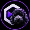 Фото профиля GetCholo.AI