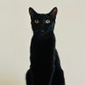 Profilbild von LOMUMBA