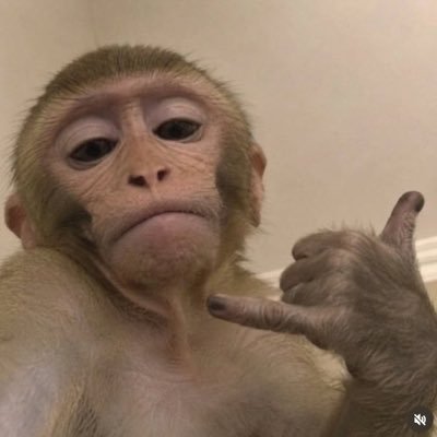 ana's profile picture