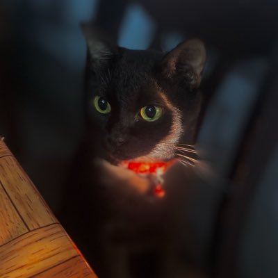 srfbpfk's profile picture