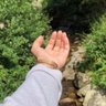 Hado 🇸🇦's profile picture