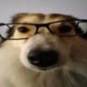 Profilbild von 江朔 | 网红模特经济