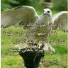 🇾🇪K(‏ڂۡـ❥ـٰٱ̍ڷـ❥ـد)H🇸🇦's profile picture