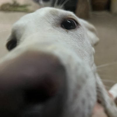 m.'s profile picture