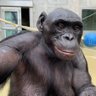Penile Smith's profile picture