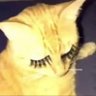 윤희 profil fotoğrafı
