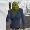 Profilbild von shrek
