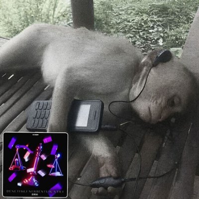 portofstars's profile picture
