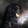 Фото профиля Dulciara